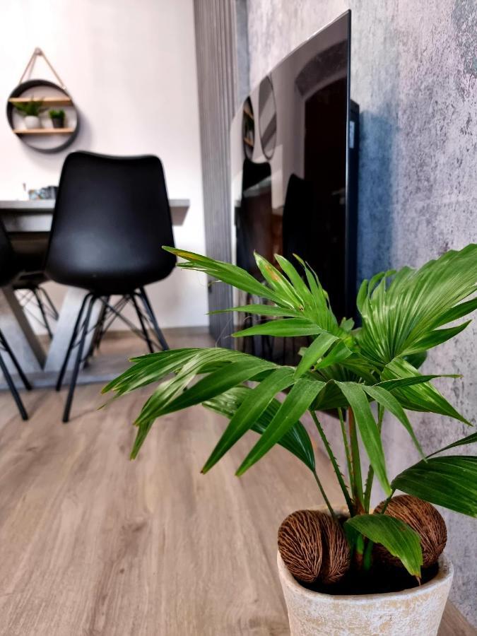 Apartament Jelonek W Karkonoszach Jelenia Góra Eksteriør bilde