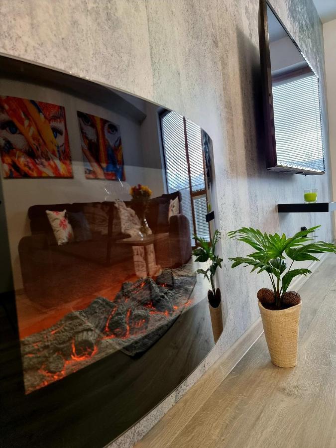 Apartament Jelonek W Karkonoszach Jelenia Góra Eksteriør bilde