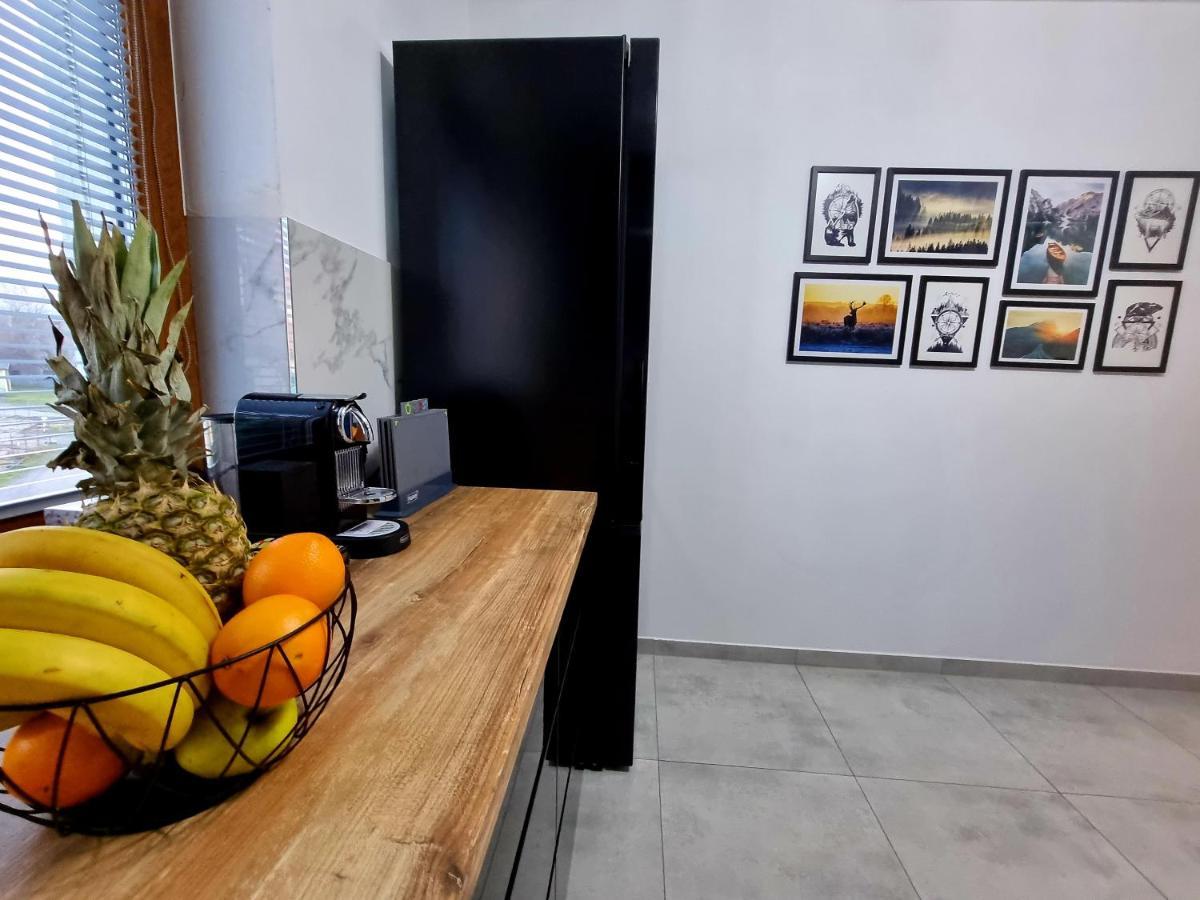 Apartament Jelonek W Karkonoszach Jelenia Góra Eksteriør bilde